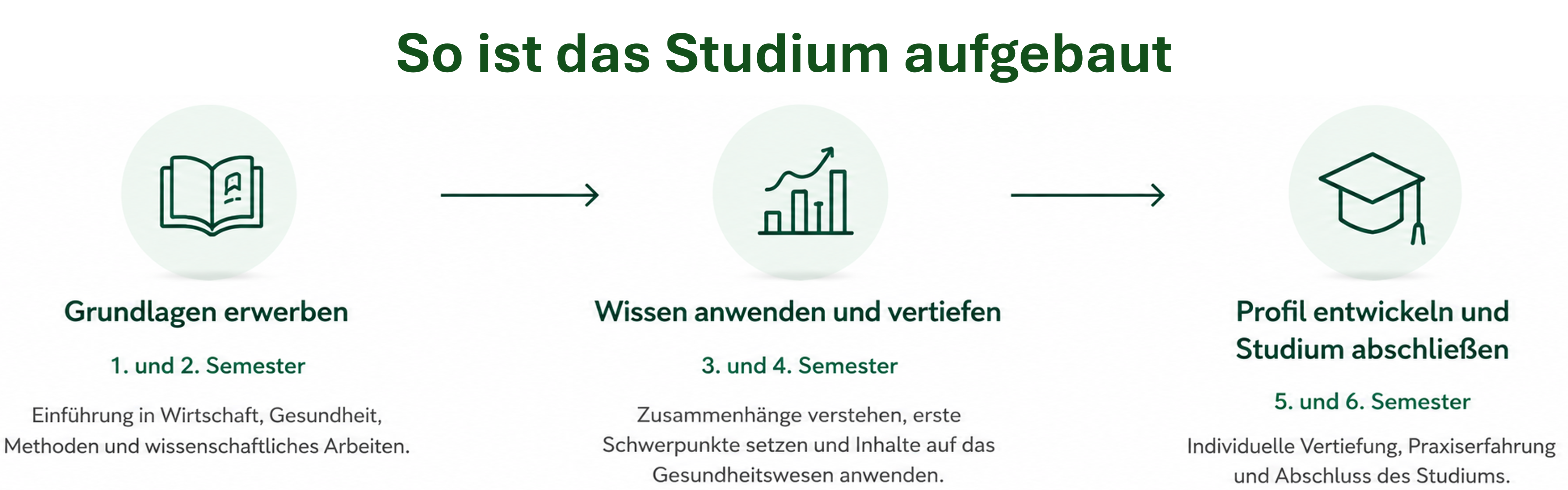 So ist das Studium der Gesundheitsökonomie aufgebaut